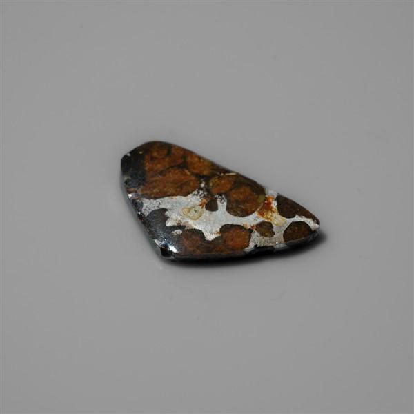 Rare Pallasite Meteorite