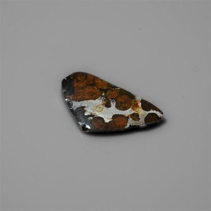 Rare Pallasite Meteorite