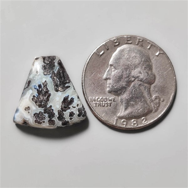 Dendritic Agate