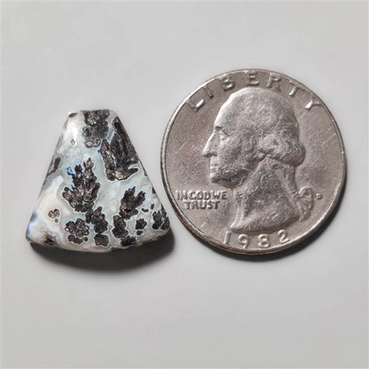 Dendritic Agate