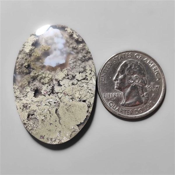 Indonesian Moss Agate