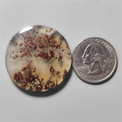 Indonesian Moss Agate