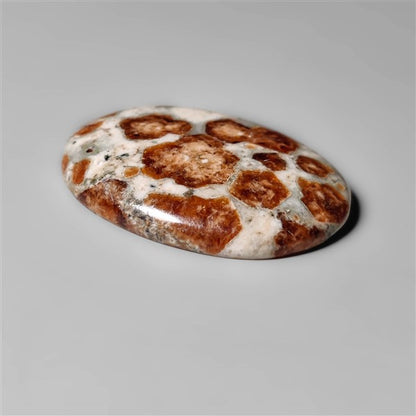 Garnet In Limestone