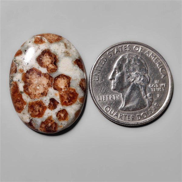 Garnet In Limestone