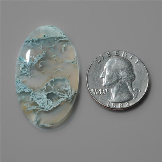 Agate|Moss Agate