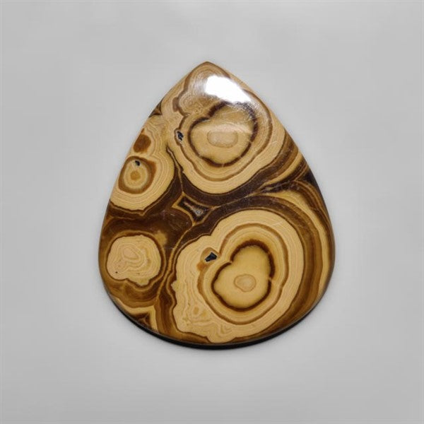 Schalenblende