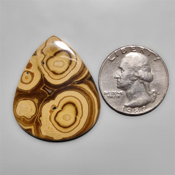 Schalenblende