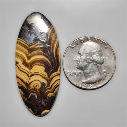 Schalenblende