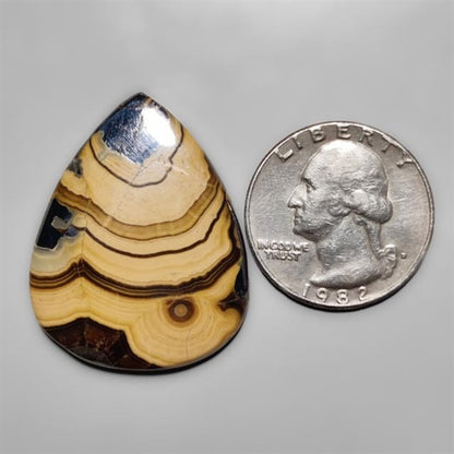 Schalenblende
