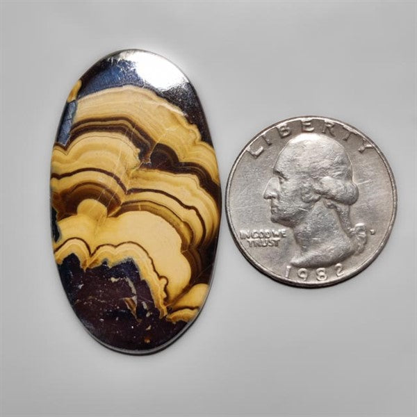 Schalenblende