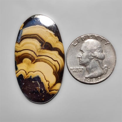 Schalenblende