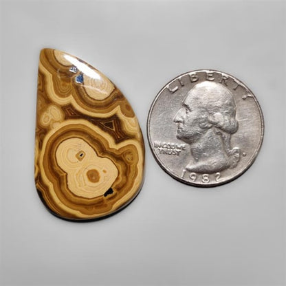 Schalenblende