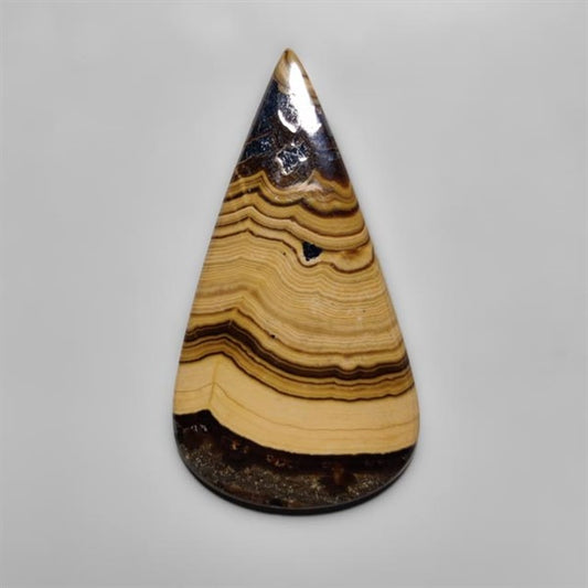 Schalenblende