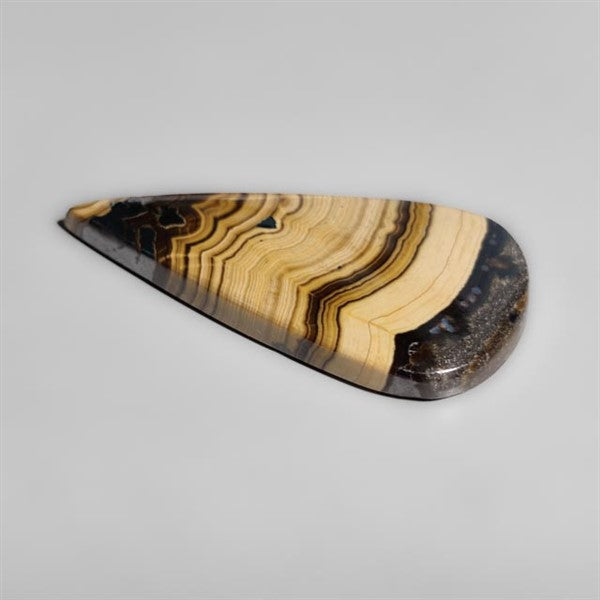 Schalenblende
