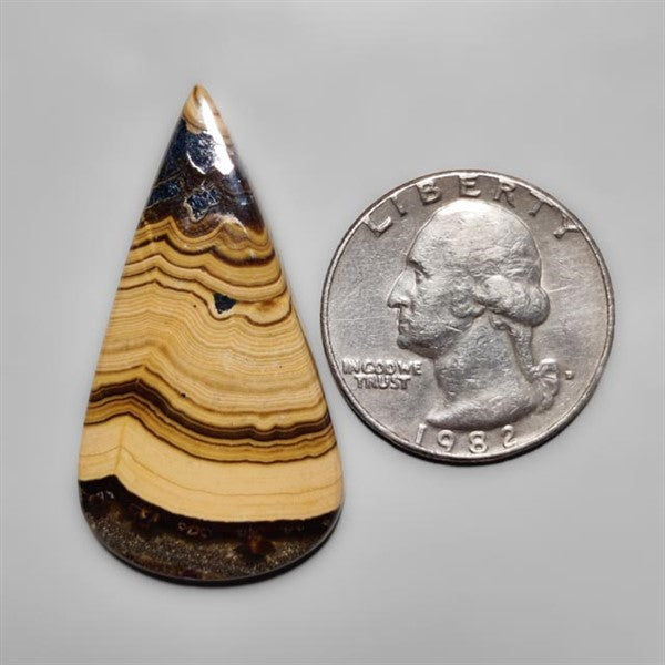 Schalenblende