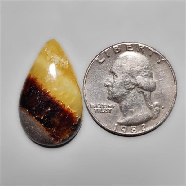 Yellow Septarian
