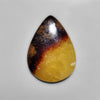 Yellow Septarian