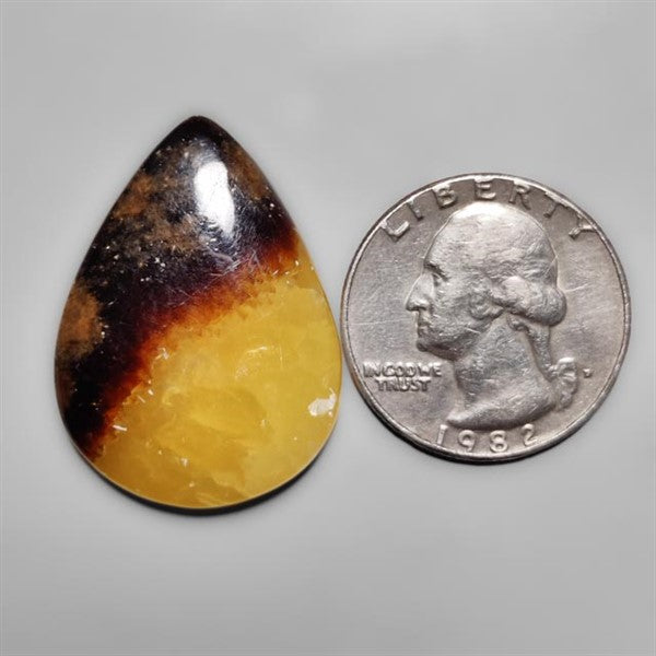 Yellow Septarian