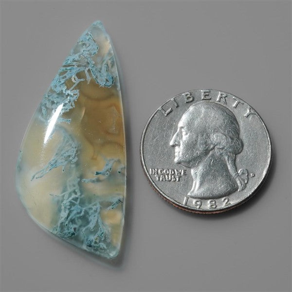 Agate|Moss Agate