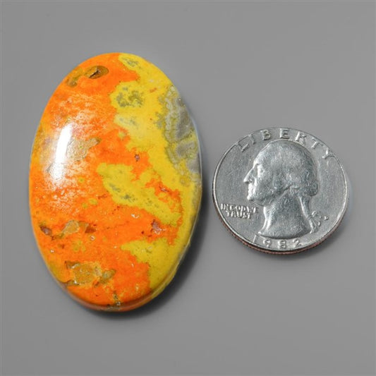 Bumble Bee Jasper