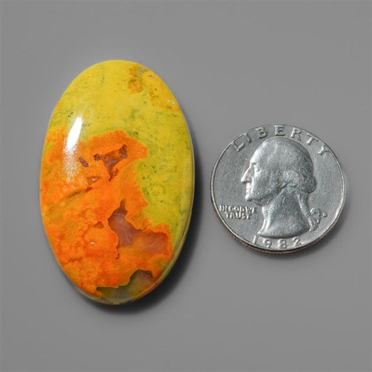 Bumble Bee Jasper