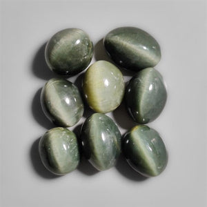 Actinolite Cats Eyes Lot