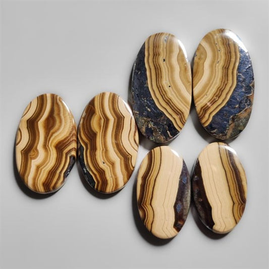 Schalenblende