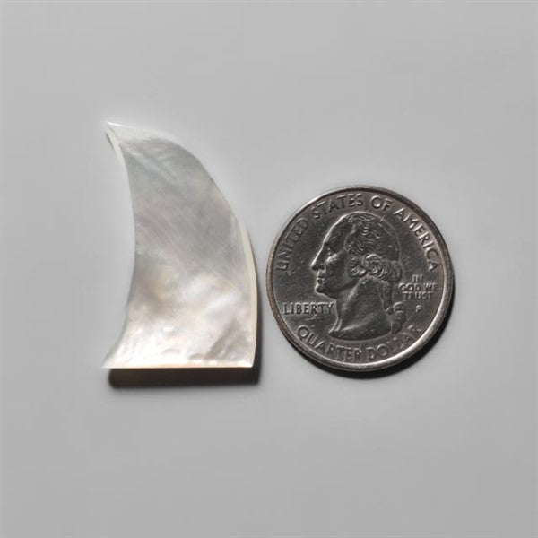 Mother Of Pearl Shark Fin Carving