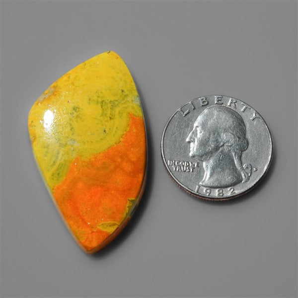 Bumble Bee Jasper