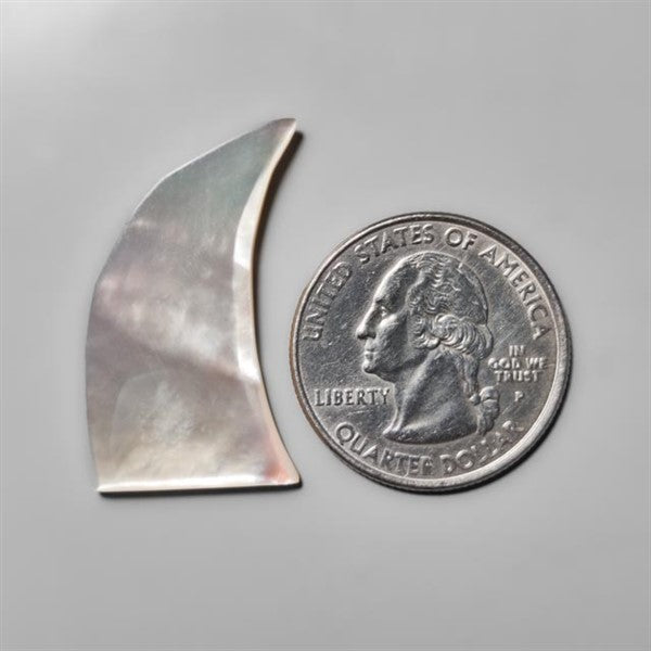 Mother Of Pearl Shark Fin Carving