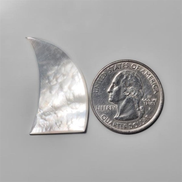 Mother Of Pearl Shark Fin Carving