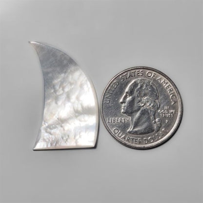 Mother Of Pearl Shark Fin Carving