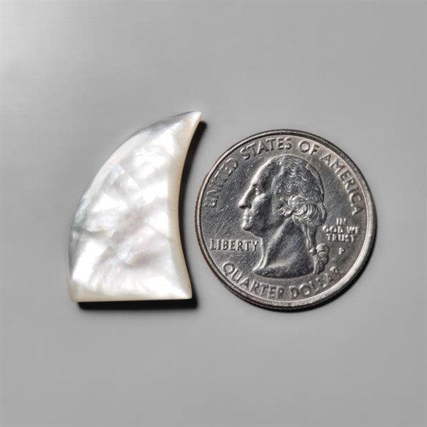 Mother Of Pearl Shark Fin Carving