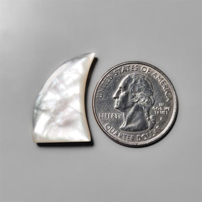 Mother Of Pearl Shark Fin Carving