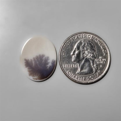 Scenic Agate