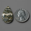 Ocean Jasper