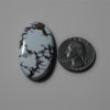 Wild Horse Magnesite