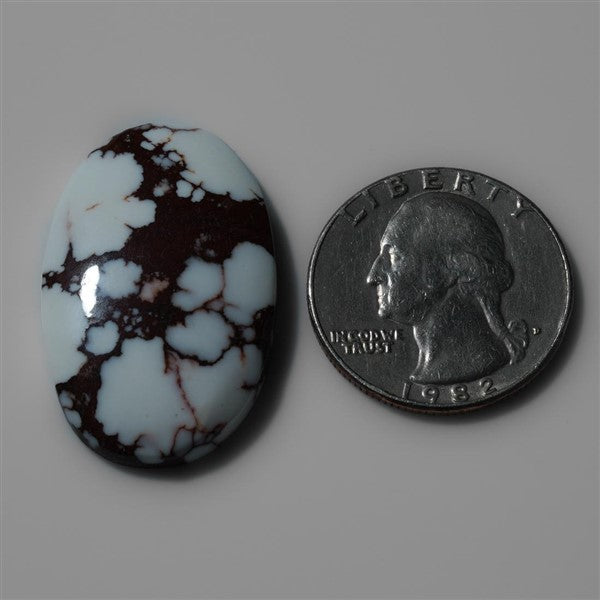 Wild Horse Magnesite