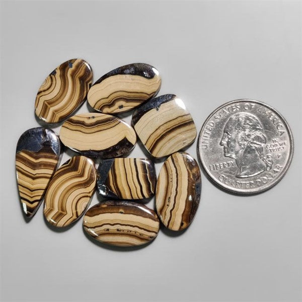 Schalenblende Lot