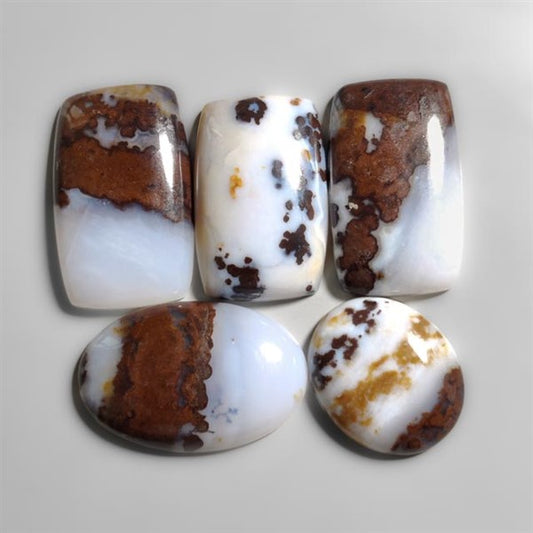 Polka Dot Agate