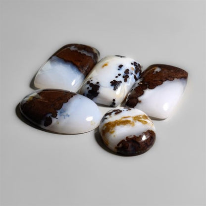 Polka Dot Agate