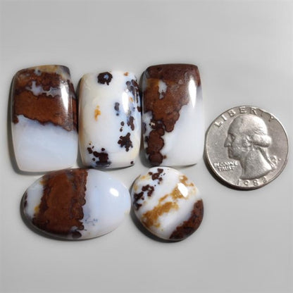 Polka Dot Agate