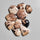Indonesian Palmroot Agates Lot