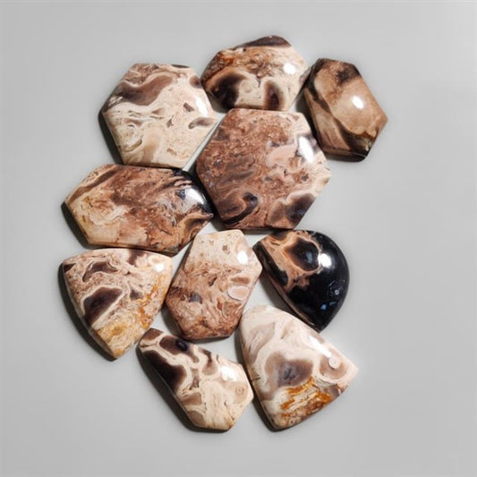 Indonesian Palmroot Agates Lot