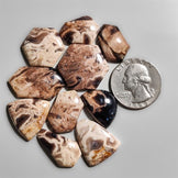 Indonesian Palmroot Agates Lot