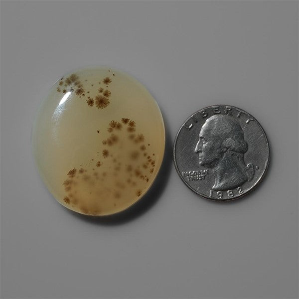 Agate|Dendritic Agate