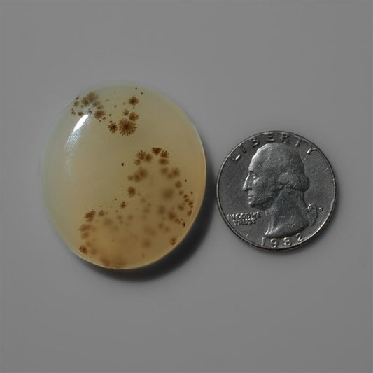 Agate|Dendritic Agate