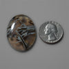 Agate|Stick Agate