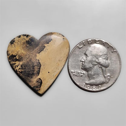 Sagebrush Jasper Cabochon