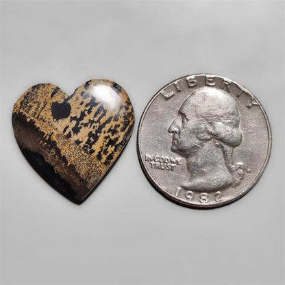 Sagebrush Jasper Cabochon